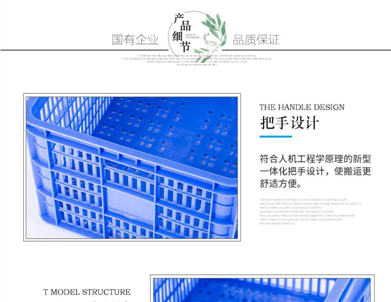 5號周轉(zhuǎn)蘿詳情2